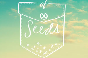 A Pocketful of Seeds cover