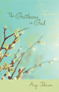 The Gentleness in God cover